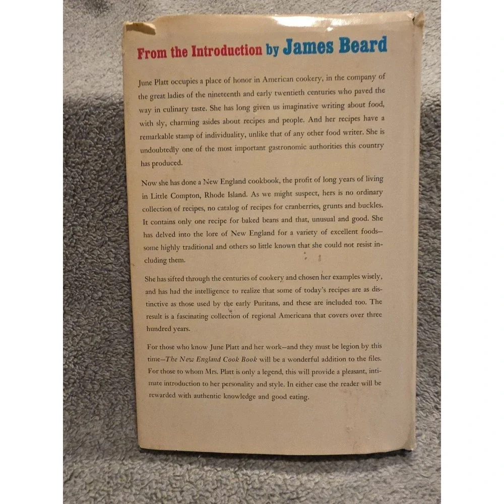 June Platt's New England Cook Book Kitchen Recipes Instructions
